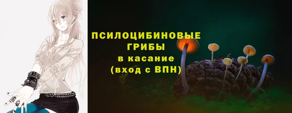 круглые Карпинск