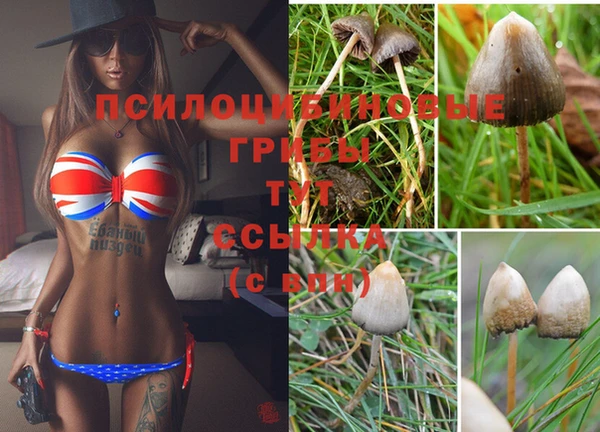 круглые Карпинск