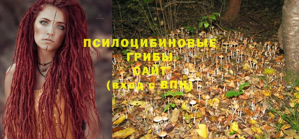 круглые Карпинск